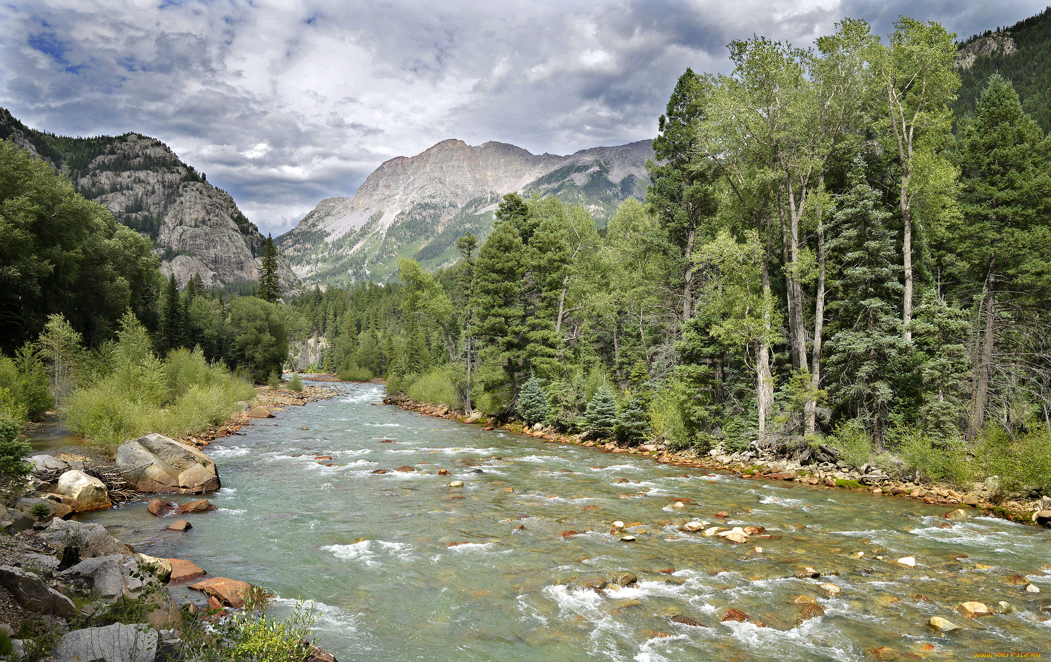 Река Катунь в горах и лесах